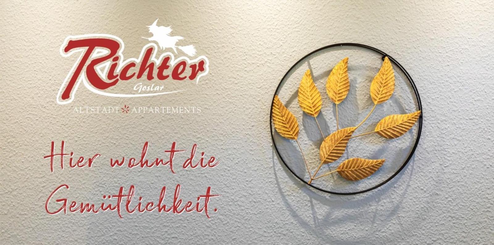 גוסלר Richter Altstadtappartements מראה חיצוני תמונה
